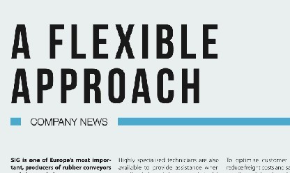 A Flexible Approach - Article