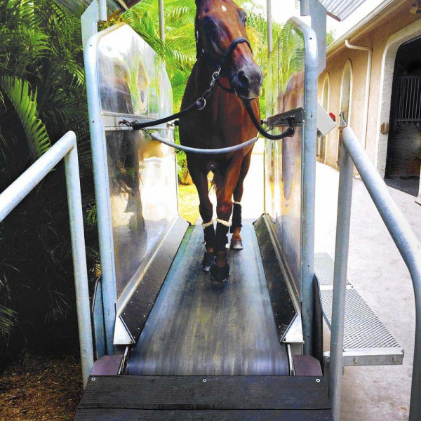 rubber conveyor belts for Horse treadmills 